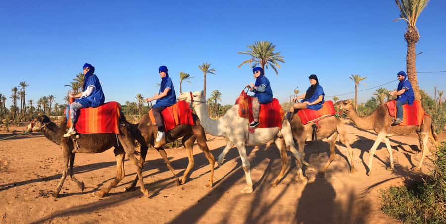 Agadir/Taghazout: Camel Ride with Tea Drink and Transfers - Pickup makes the two-hour format practical