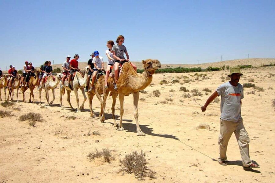 Agadir/Taghazout: Camel Rides with Tea Drink and Transfers - Is $22 good value?