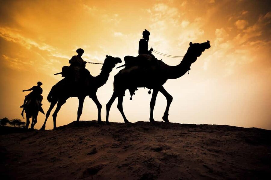 Agadir/Taghazout: Camel Rides with Tea Drink and Transfers - From rough access roads to beach and river views