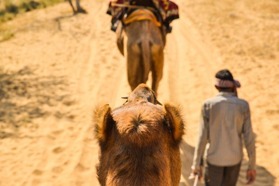 Agadir/Taghazout: Camel Rides with Tea Drink and Transfers - Mint tea, biscuits, and the optional dinner