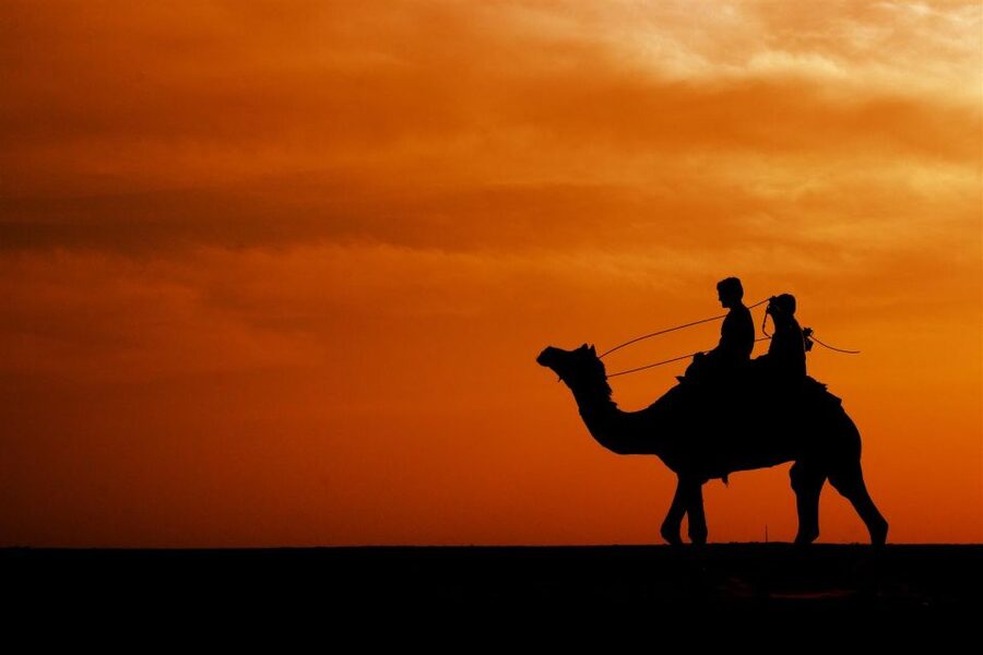 Agadir/Taghazout: Camel Rides with Tea Drink and Transfers - Who will enjoy this activity most