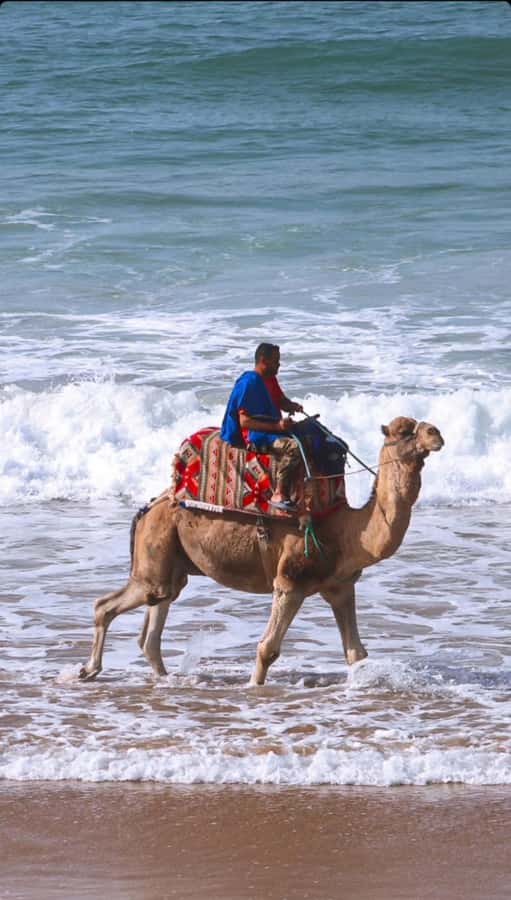 Agadir: Taghazout, Colorful village & Timlaline Desert Trip - FAQ