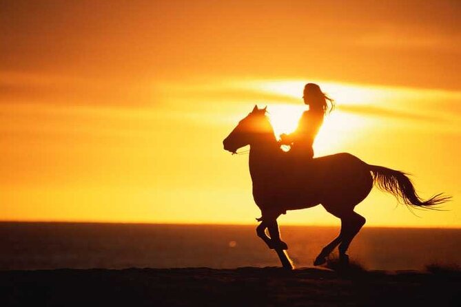Agadir/Taghazout Horse Ride on the beach - Key points to know before booking