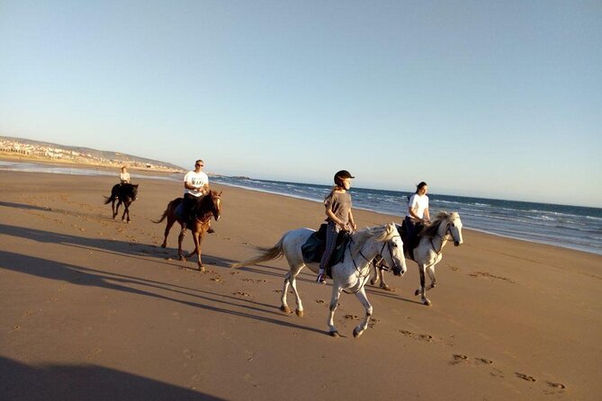 Agadir/Taghazout Horse Ride on the beach - Mint tea and the ride back