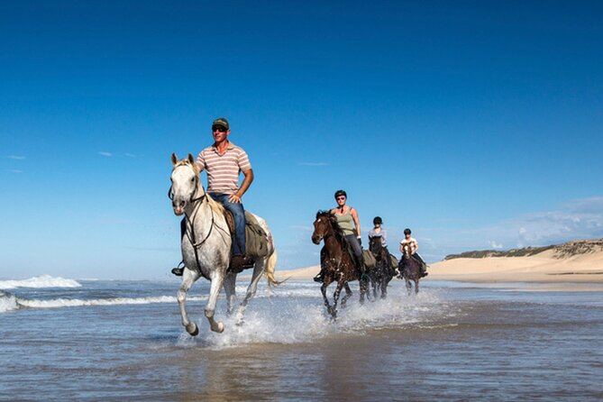 Agadir/Taghazout Horse Ride on the beach - Who should book this beach ride