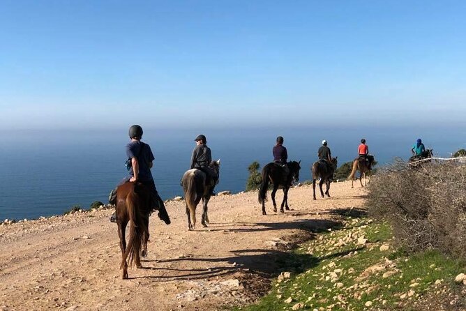 Agadir/Taghazout Horse Ride on the beach - Should you book it?