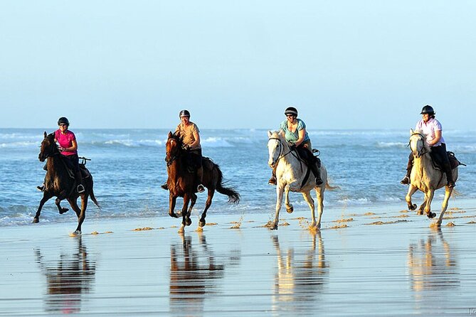 Agadir/Taghazout Horse Ride on the beach - Six kilometers beside the beach