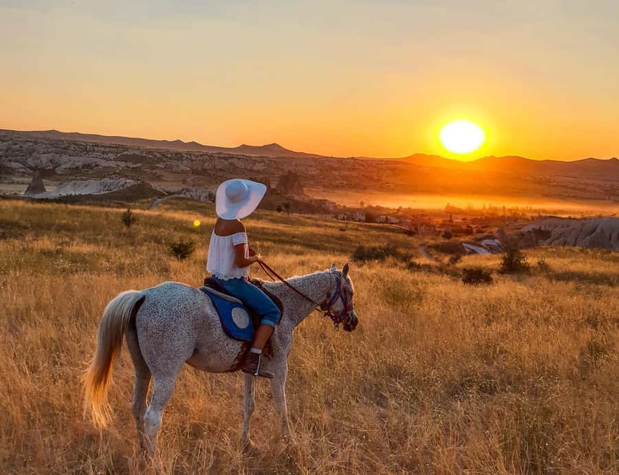 Agadir/Taghazout: Horse Rides Experience With Transfers - What happens from hotel pickup to the saddle