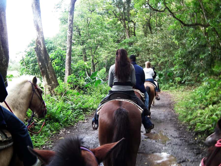 Agadir/Taghazout: Horse Rides Experience With Transfers - The river route and views of flamingos