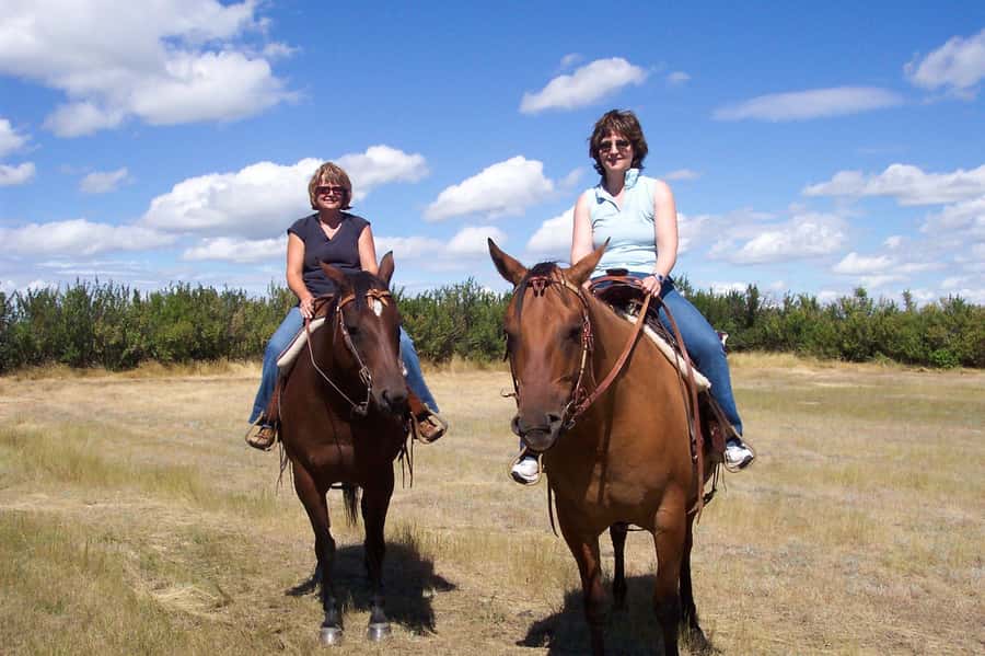 Agadir/Taghazout: Horse Rides Experience With Transfers - Can you gallop, or is it a walking ride?