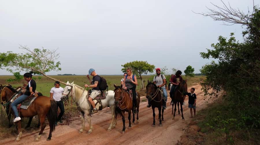 Agadir/Taghazout: Horse Rides Experience With Transfers - Why the $23 price can make sense