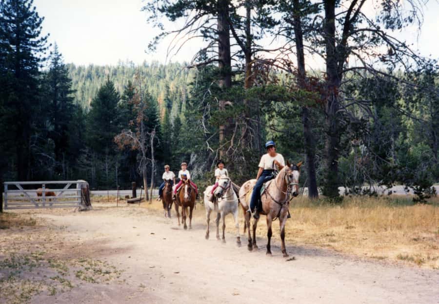 Agadir/Taghazout: Horse Rides Experience With Transfers - Families, couples, and solo riders