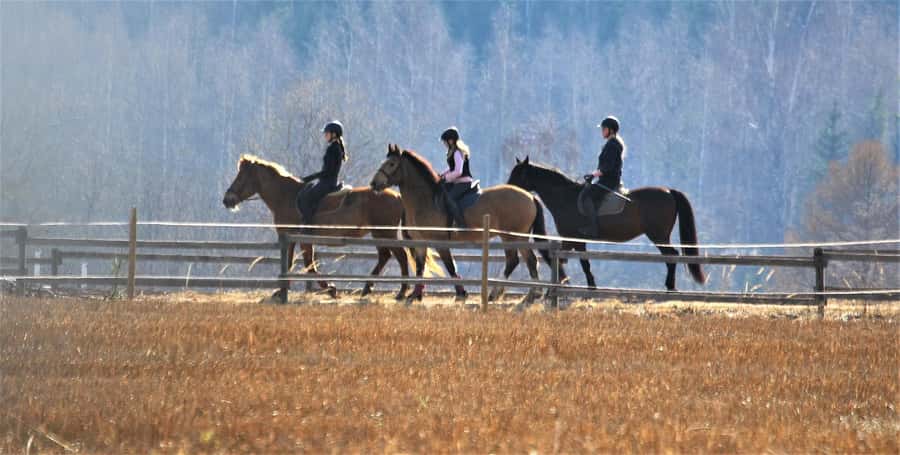 Agadir/Taghazout: Horse Rides Experience With Transfers - Practical details before you book