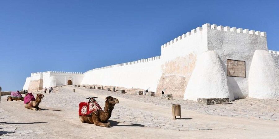 Agadir/Taghazout: Old Medina of Coco Polizzi and Agadir Tour - Guides make the difference