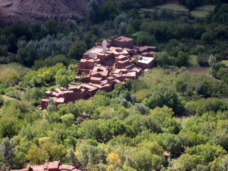 Agadir/Taghazout: Paradise Valley Atlas Mountains Trip - The botanical garden and Argan Oil Center