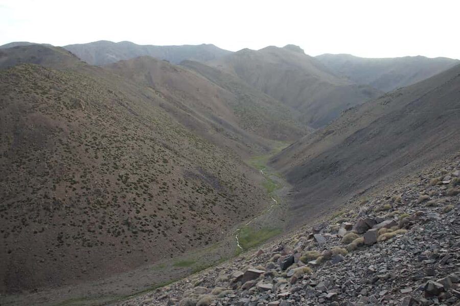 Agadir/Taghazout: Paradise Valley Atlas Mountains Trip - Guides, languages, and the human side of the trip