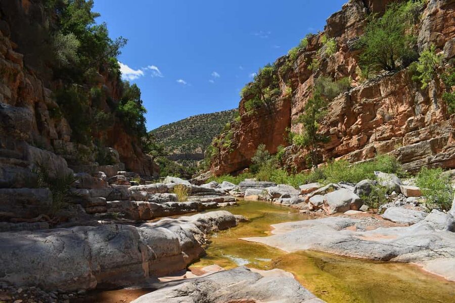 Agadir/Taghazout: Paradise Valley Atlas Mountains Trip - Should you book Paradise Valley?