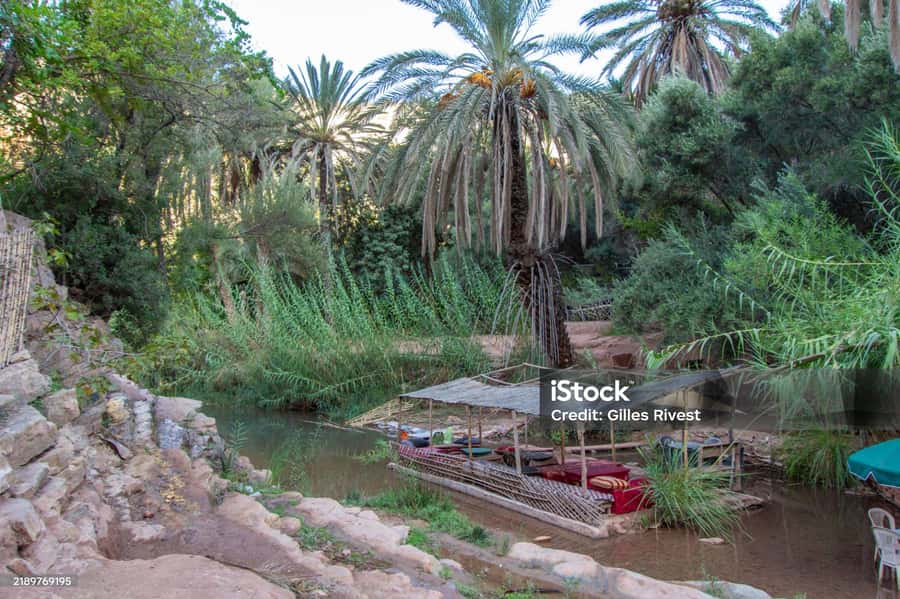 Agadir/Taghazout : Paradise Valley & Sandboarding with Lunch - Key details at a glance
