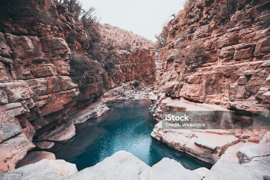 Agadir/Taghazout : Paradise Valley & Sandboarding with Lunch - From Agadir to the argan country