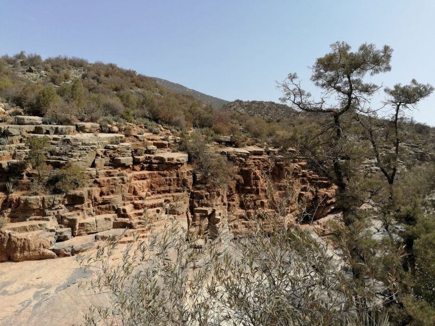 Agadir/Taghazout : Paradise Valley & Sandboarding with Lunch - What the $71 price really covers