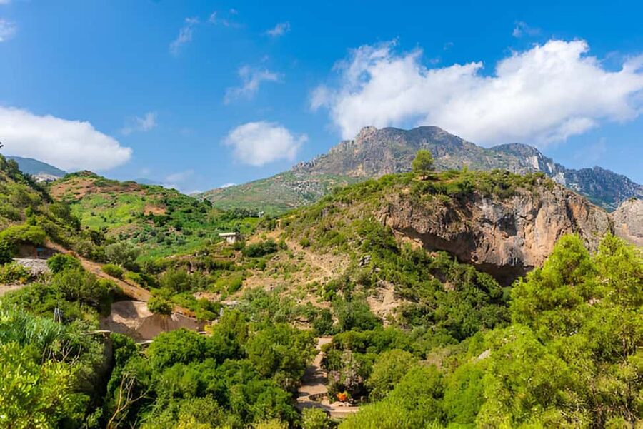 Agadir/Taghazout: Paradise Valley Tour to Atlas Mountains - Paradise Valley, where the swim is the main event