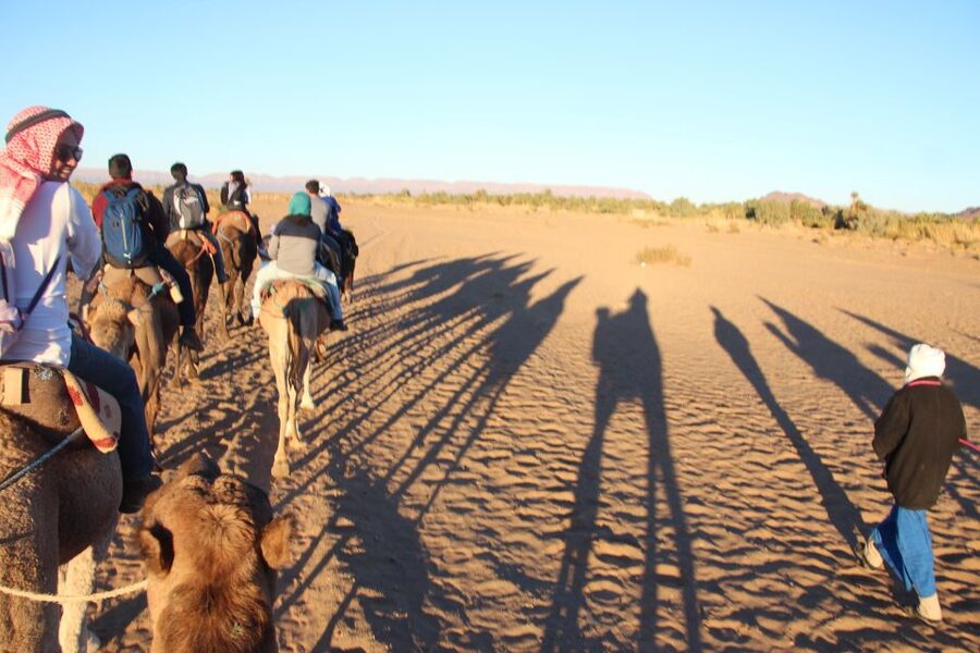 Agadir/Taghazout/Port: Camel Ride Tea & BBQ Option - Key points to know before you book
