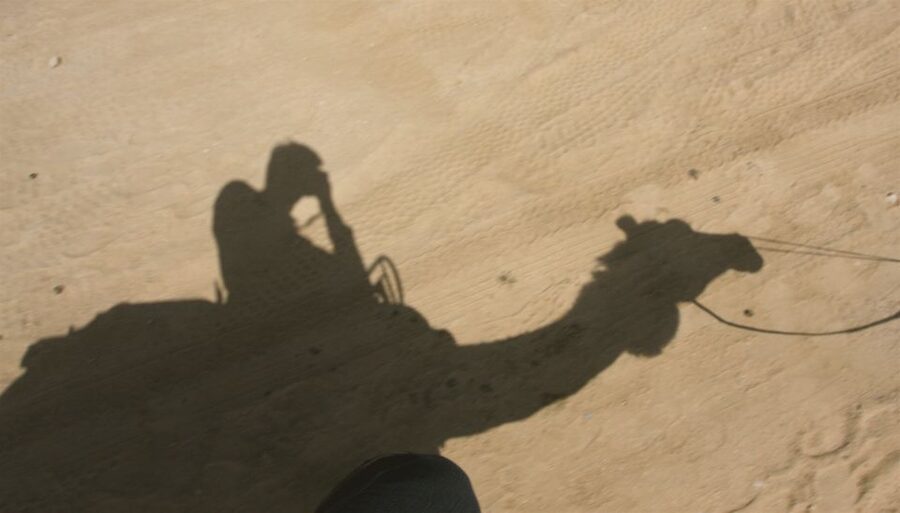 Agadir/Taghazout/Port: Camel Ride Tea & BBQ Option - The Souss River and the search for flamingos