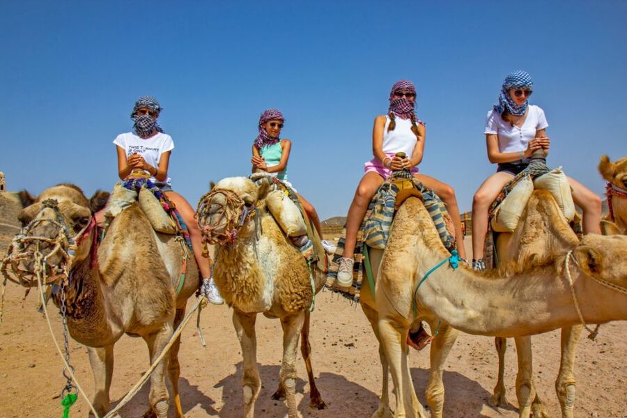 Agadir/Taghazout/Port: Camel Ride Tea & BBQ Option - What the camel ride is really like