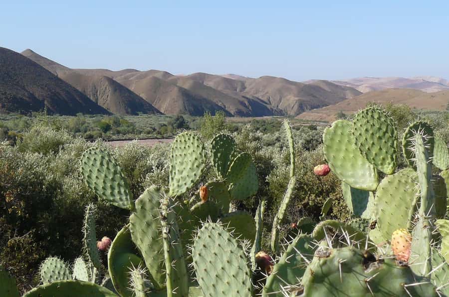 Agadir/Taghazout/Port: Paradise Valley Atlas Mountains Trip - What the $21 price really gives you