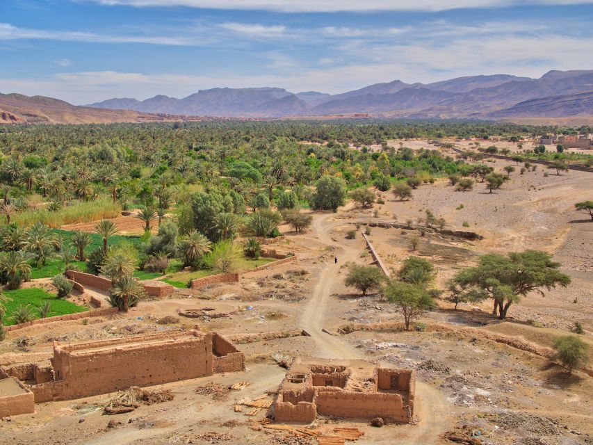 Agadir/Taghazout/Port: Paradise Valley Atlas Mountains Trip - Guide quality can shape the whole day