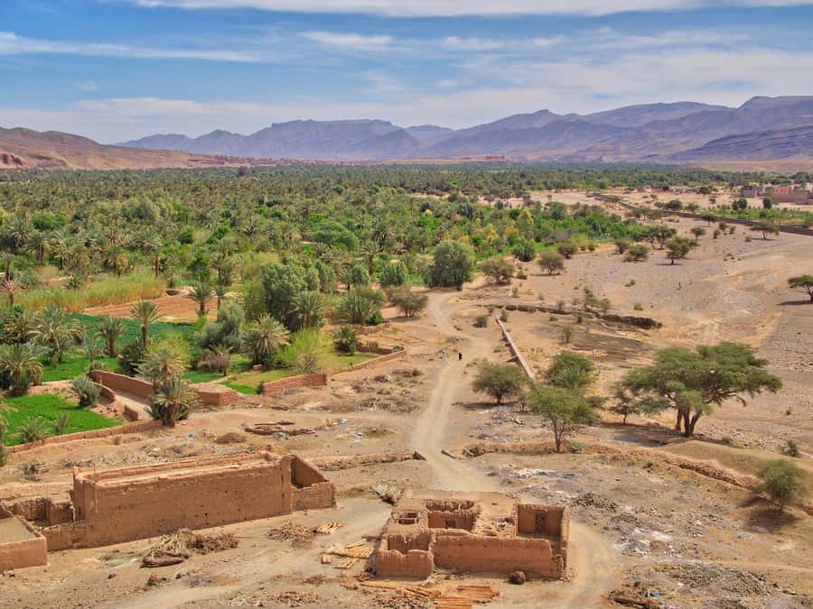 Agadir/Taghazout/Port: Paradise Valley Atlas Mountains Trip - How active is the experience?