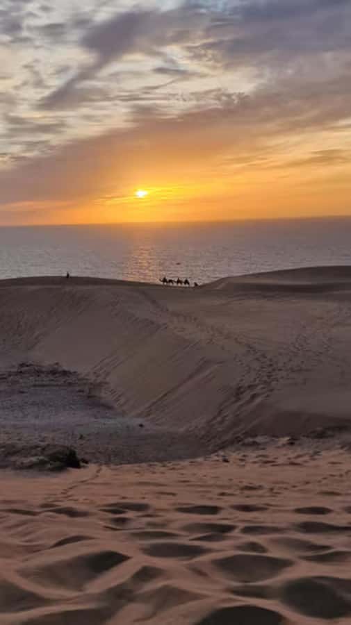Agadir/Taghazout : Quad Bike & Camel Ride On The Beach - Booking details worth knowing