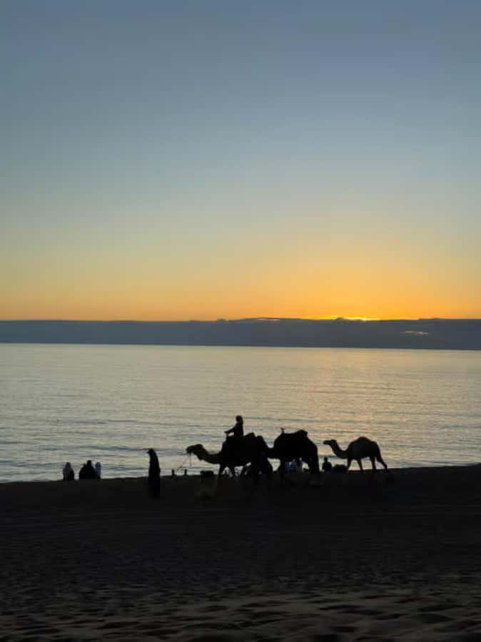 Agadir/Taghazout : Quad Bike & Camel Ride On The Beach - From engine noise to camel steps