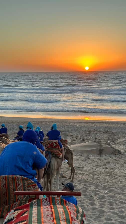 Agadir/Taghazout : Sandboarding & Sunset Camel Ride with BBQ - Practical tips for a smoother afternoon