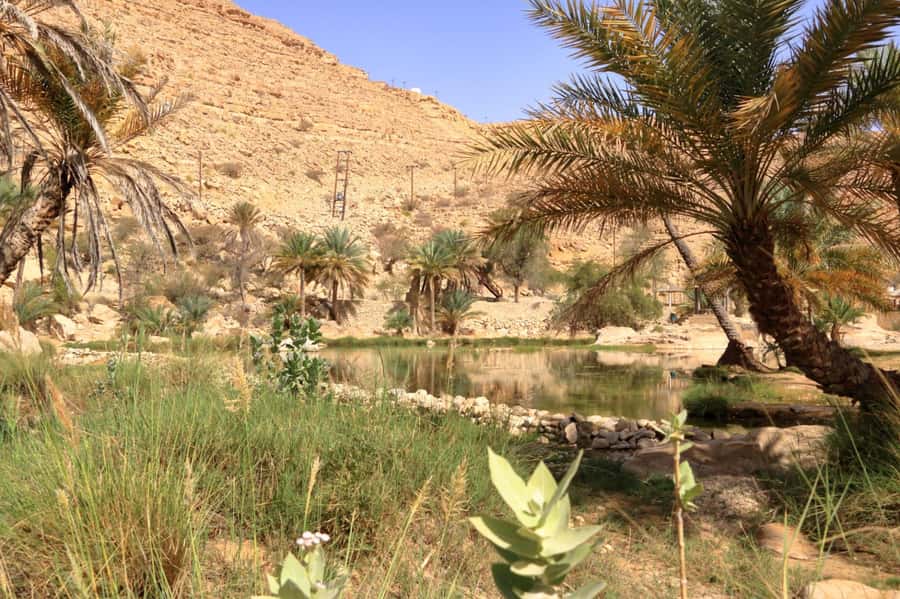 Agadir/Taghazout/Tamraght: Paradise Valley Best Tour - Natural pools, lakes, and time to slow down