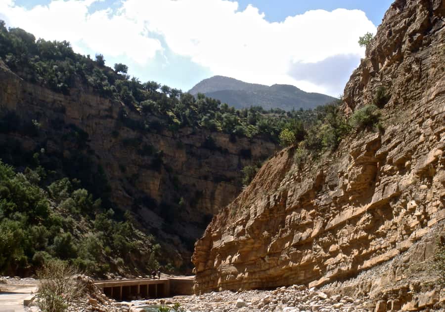 Agadir/Taghazout/Tamraght: Paradise Valley Best Tour - What the guides add to the morning