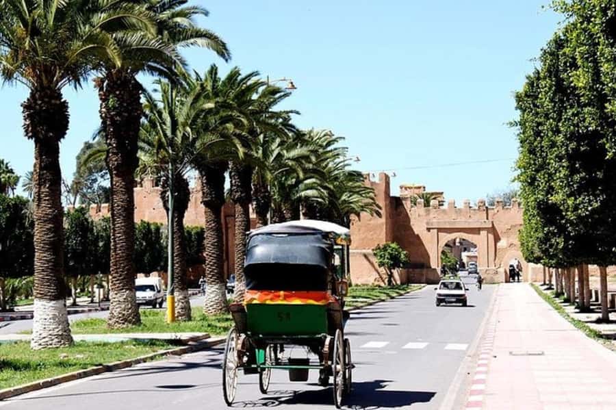 Agadir: Taroudant Oasis and Tiout Day Trip with Lunch Option - Should you book the Taroudant and Tiout day trip?