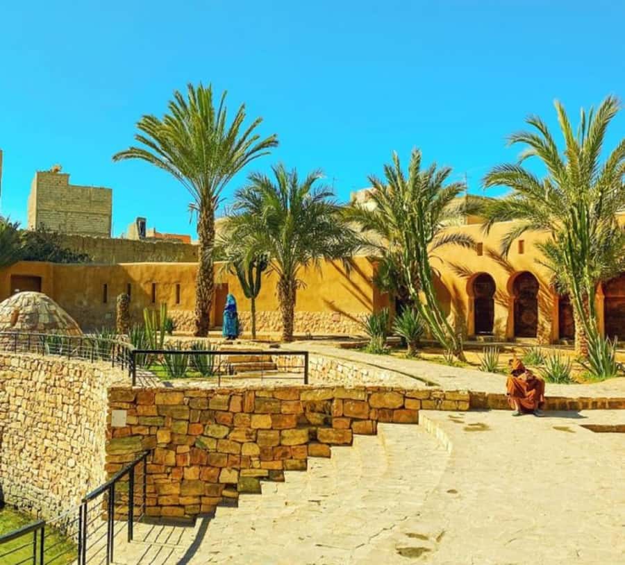 Agadir: Taroudant Oasis and Tiout Day Trip with Lunch Option - What lunch adds to the day
