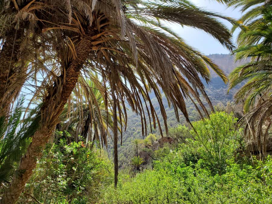 Agadir: Timlaline Desert and Paradise Valley with Camel Ride - Key points at a glance