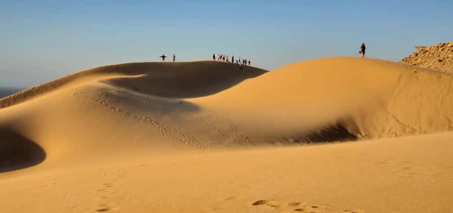 Agadir: Timlaline Desert and Paradise Valley with Camel Ride - Tamri lunch brings the day down to earth