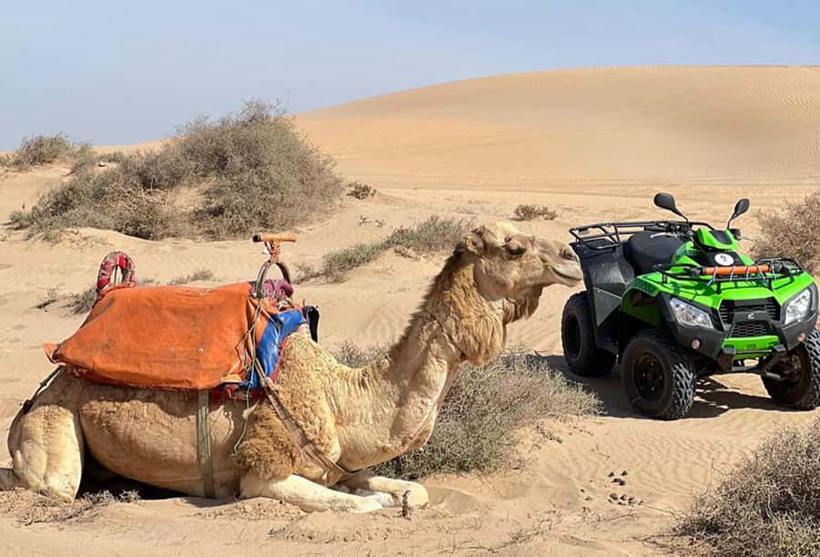 Agadir to Tifnit Desert: Quad Biking Tour with Sandboarding - Who should book this Tifnit outing?