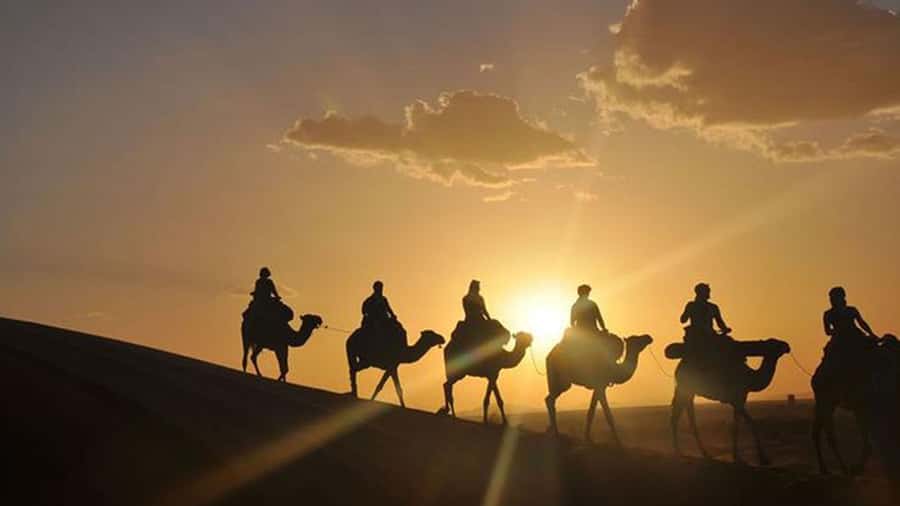 Agafay and atlas: Quad and camel experience - Tea, camp life, and what may be skipped