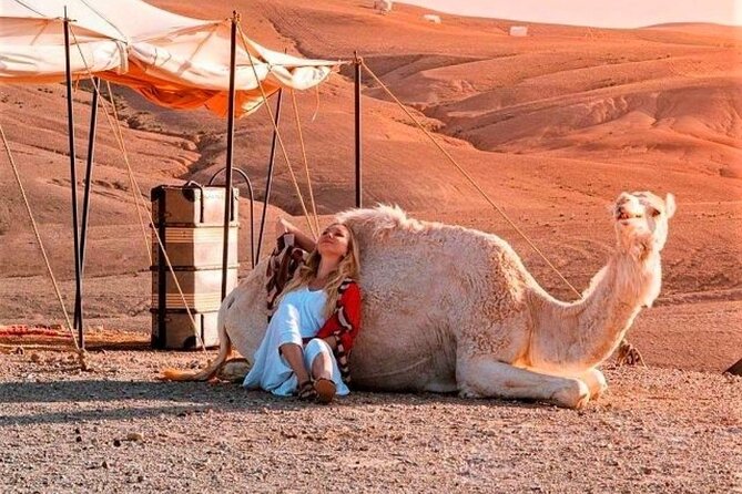 Agafay Desert: Dinner + Show with Quad Bike & Sunset Camel Ride - From Marrakech to the Agafay Desert at 3 p.m.