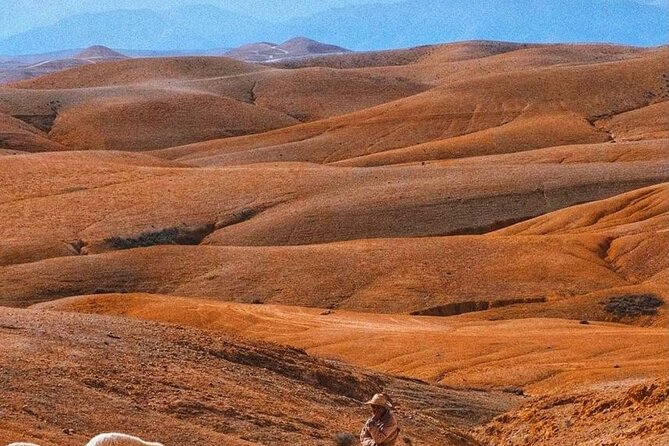 Agafay Desert: Dinner + Show with Quad Bike & Sunset Camel Ride - How the guides shape the experience