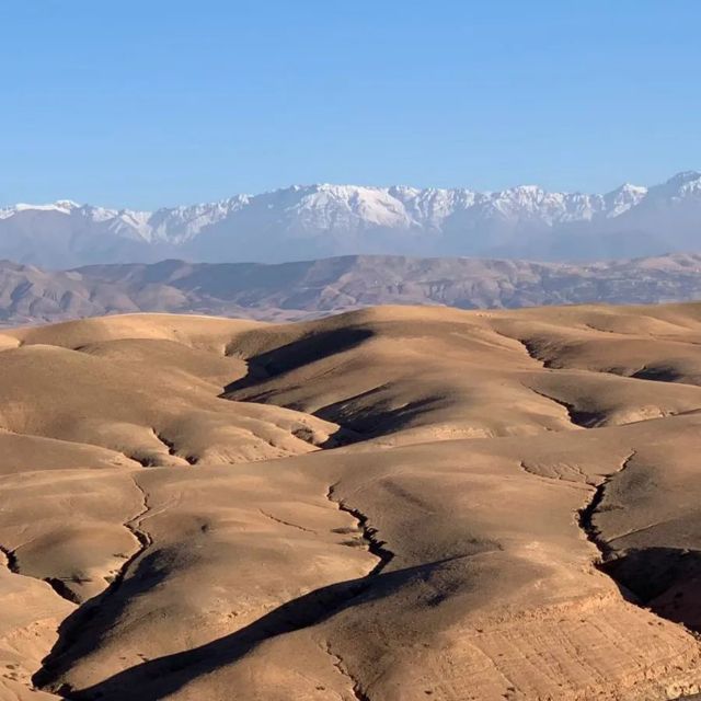 Agafay Desert: Magical Half-Day Lunch with Pool Swim - The tea and argan oil stop
