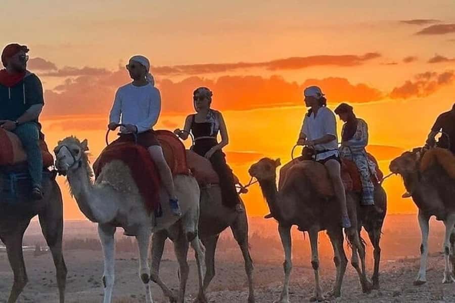 Agafay Desert Package, Quad Bike, Camel Ride and Dinner Show - Practical tips for a smoother day