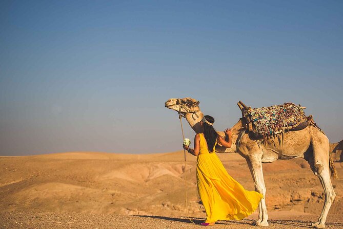 Agafay Desert Package, Quad Bike, Camel Ride and Dinner Show - Dinner at the desert camp
