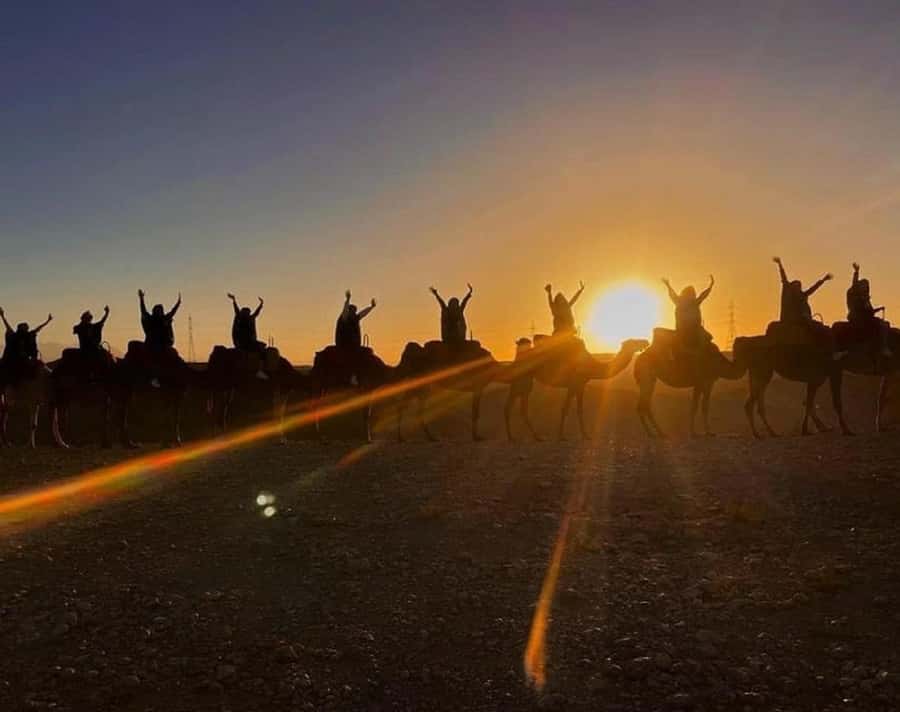 Agafay Desert Package, Quad Bike, Camel Ride and Dinner Show - Who will enjoy this outing most