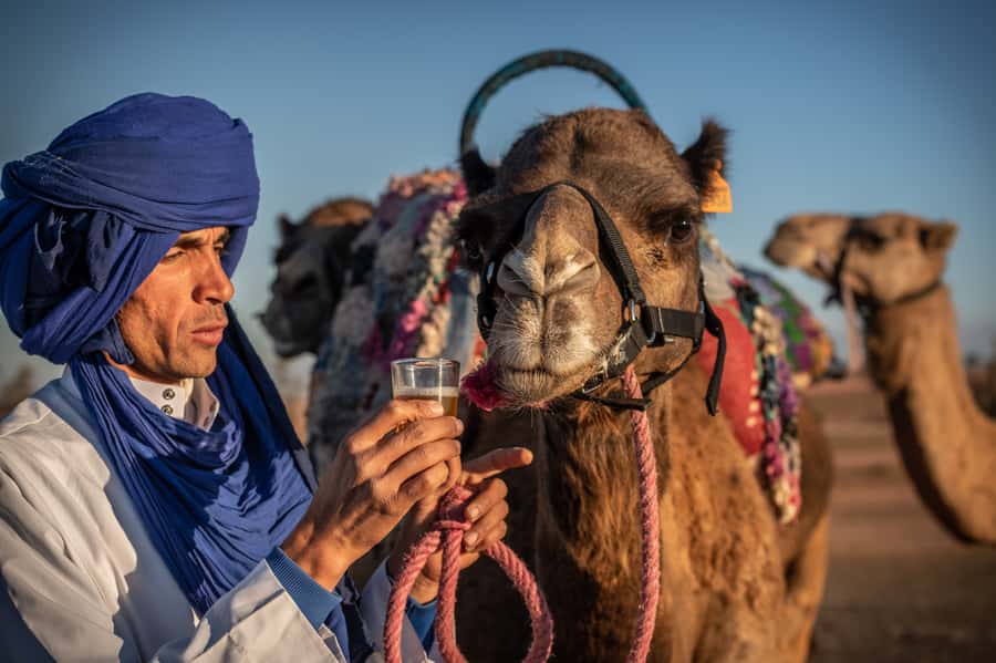 Agafay Desert: Quad Bike and Camel Ride Adventure Tour - Is $106 a fair price?