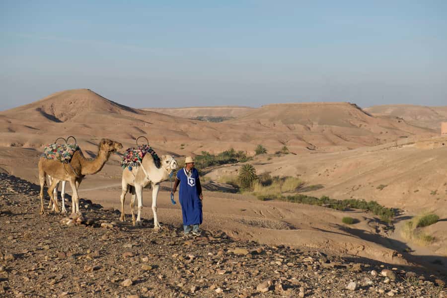 Agafay Desert: Quad Bike and Camel Ride Adventure Tour - Who should book this tour?